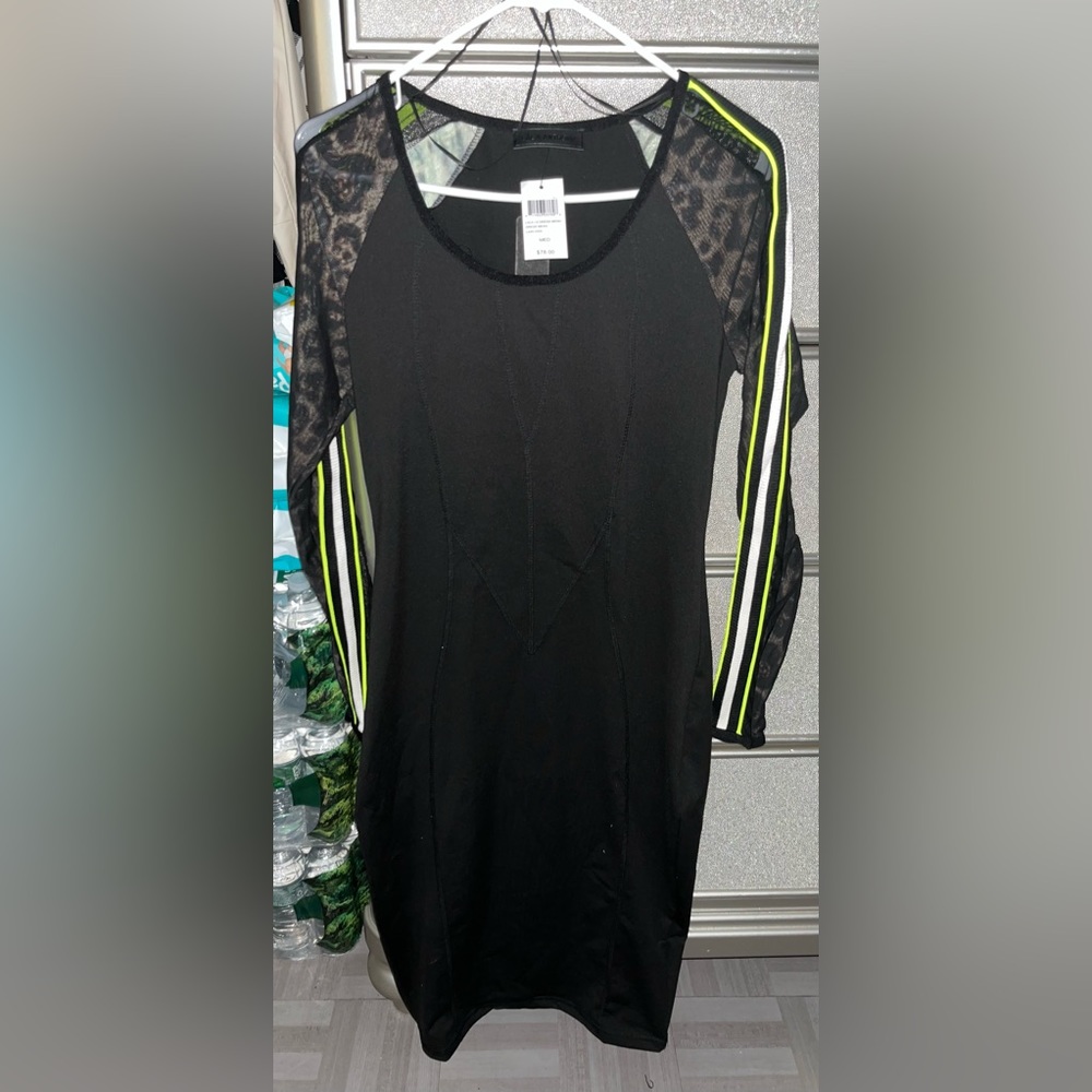 🩶LALA ANTHONY MESH DRESS🩶
